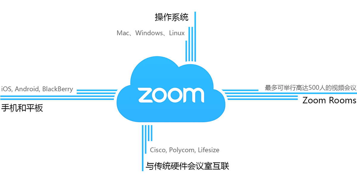 Zoom pro账号